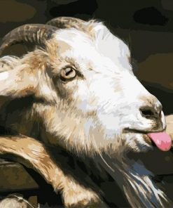 Goat Tongue paint by numbers