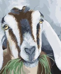 Goats eat grass paint by numbers