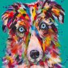 Mini Aussie Dog paint by numbers