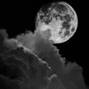 Black And White Full Moon paint by numbers