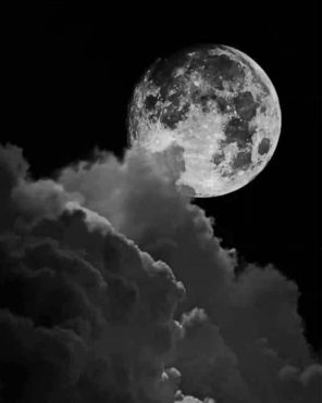 Black And White Full Moon paint by numbers