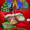 Merry Christmas Kitty paint by numbers