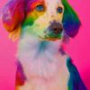 Rainbow Dog paint by numbers