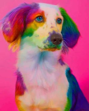 Rainbow Dog paint by numbers