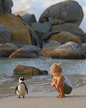 A little Girl Trying To Talk To A Penguin Paint by numbers