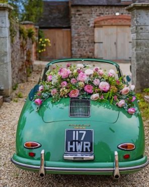 Aesthetic Classy Green Car And Flowers Paint by numbers