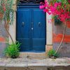 Blue Door And Pink Flowers Paint by numbers