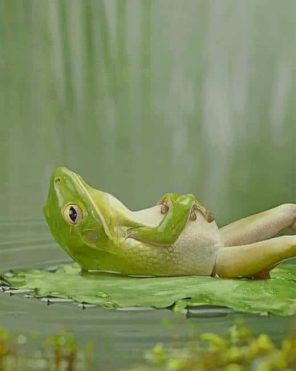 Frog Laying On A Lily Pad paint by numbers