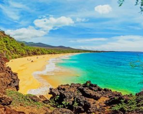 Makena State Park Hawaii paint by numbers