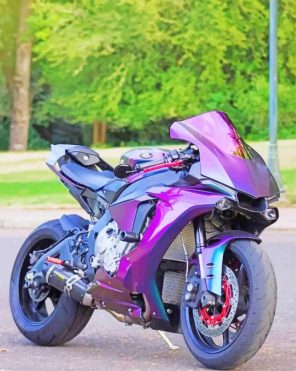 Purple Motorcycle paint by numbers