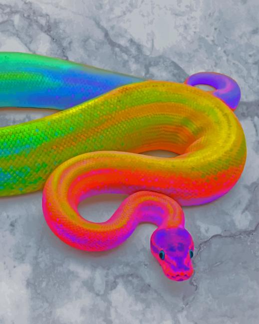 Rainbow Snake paint by numbers