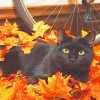 Black Cat In Autumn Paint by numbers