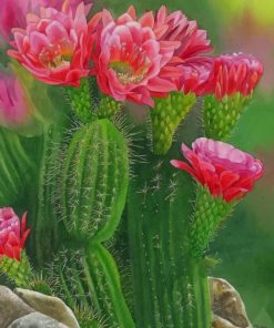 Cactus And Flowers Paint by numbers