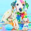 Colorful Puppy paint by numbers