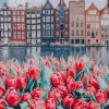 Flowers And Buildings Amsterdam paint by numbers