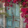 Old Doorways With Flowers paint by numbers