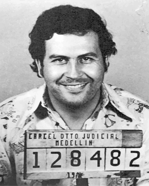 Pablo Escobar paint by numbers