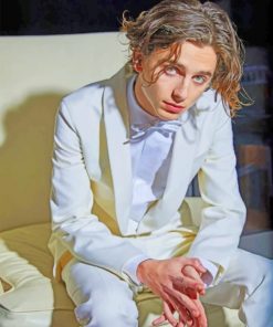 Timothee Chalamet Wearing A White Suit Paint by numbers