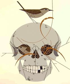 Charley Harper Skull Paint by numbers