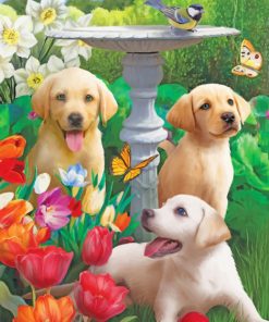 labradors in garden paint by numbers