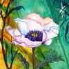 White Poppy Art paint by numbers