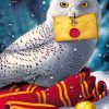 harry potter hedwig paint by numbers