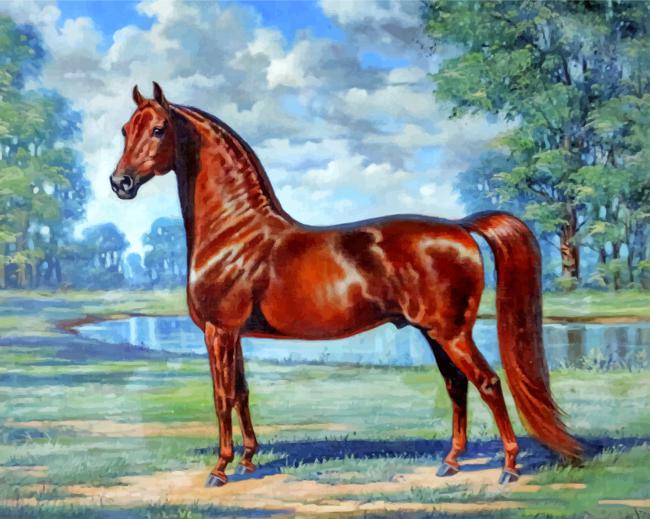 Brown Horse Paint by numbers