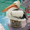 Great White Pelican paint by numbers