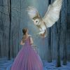 Princesses With Owl paint by numbers