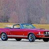 car-ford-1967-shelby-gt500-car-paint-by-number