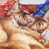 cats-sleeping-paint-by-numbers