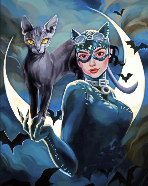 Catwoman paint by numbers
