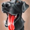 Funny Labrador Dog Paint by numbers