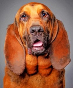 bloodhound-dog-paint-by-numbers