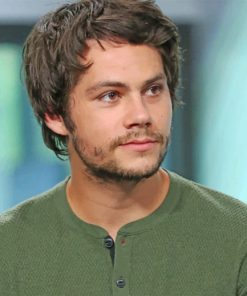 dylan-o-brien-paint-by-numbers