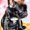 french-bulldog-puppy-paint-by-number