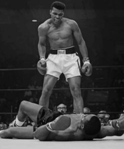 muhamed-ali-black-and-white-paint-by-number