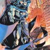 Catwoman And Batman Paint by numbers