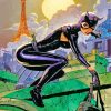 Catwoman Paint by numbers
