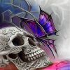 skull-butterfly-paint-by-numbers