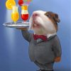 waiter-mouse-paint-by-numbers