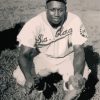 Baseball Player Josh Gibson Paint by numbers