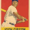 Josh Gibson Illustration Paint by numbers