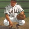 Josh Gibson Negro Paint by numbers