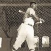 Josh Gibson Player Black And White Paint by numbers