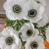 White Anemone Plants Paint by numbers