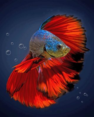 Aesthetic Betta Fish Paint by numbers
