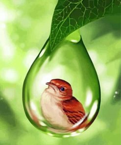 bird-in-bubble-drop-of-water-paint-by-number