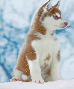 brown-husky-snow-paint-by-numbers