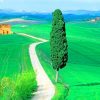 Country Road Tuscany Italy Paint by numbers